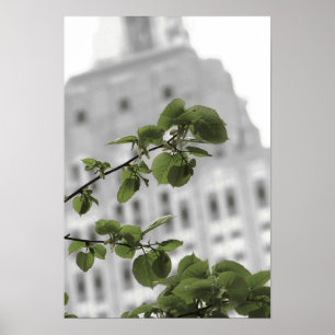 Empire state in New York Poster