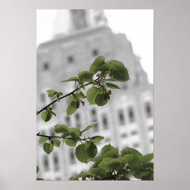 Empire state in New York Poster (Front)