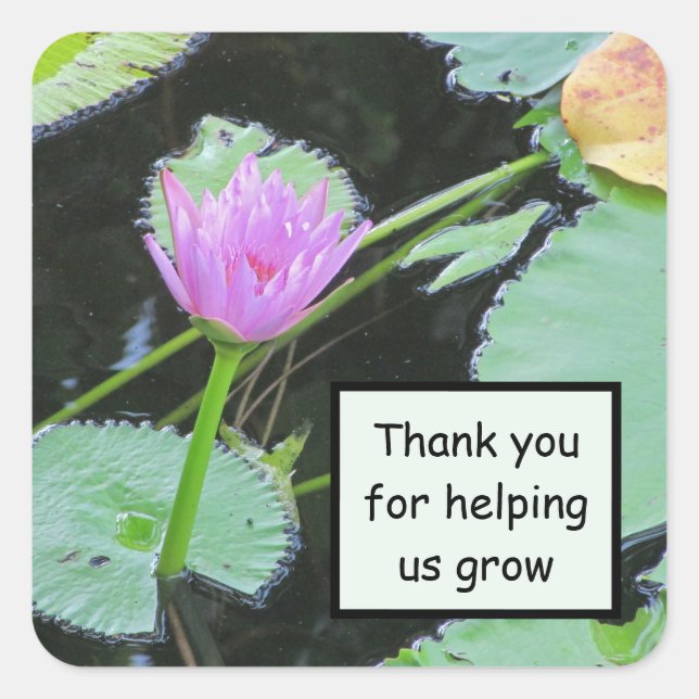 Employee Appreciation Pink Water Lily Thank You Square Sticker (Front)