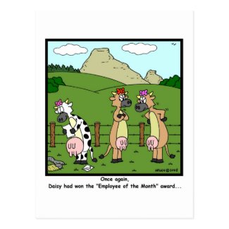 Employee of the Month: Cow Cartoon Postcard