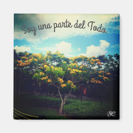 empoderamiento magnet