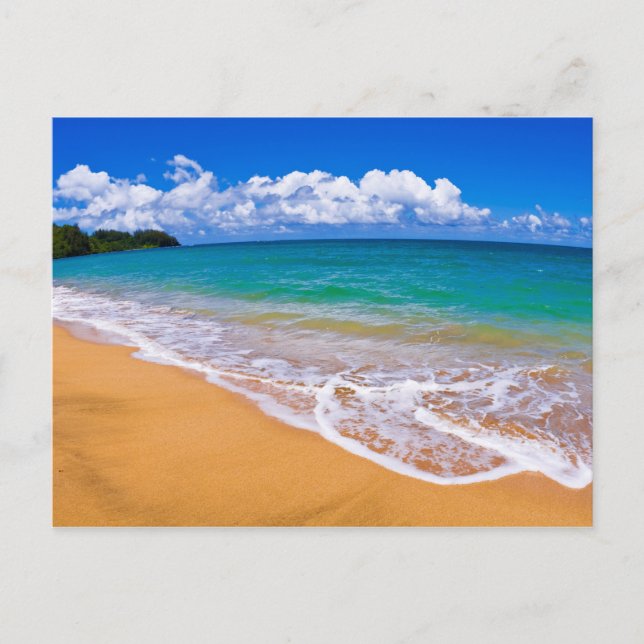 Empty Beach And Blue Waters Postcard (Front)