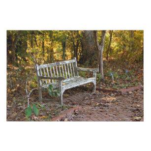 Empty bench chair at forest area faux canvas print
