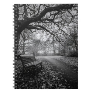 Empty Bench Twisted Trees Path Notebook