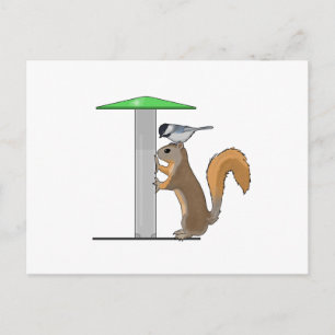 Empty Bird Feeder Postcard