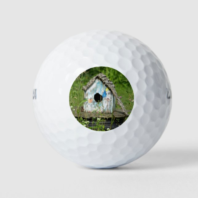 Empty Birdhouse Golf Balls (Front)