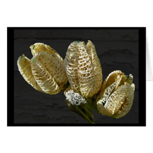 Empty Lily Seed Pods Coordinating Items