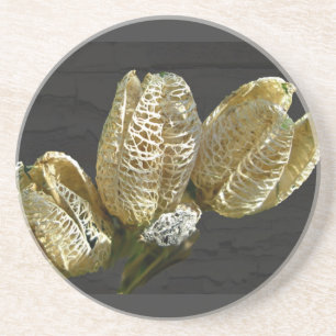 Empty Lily Seed Pods Coordinating Items Coaster