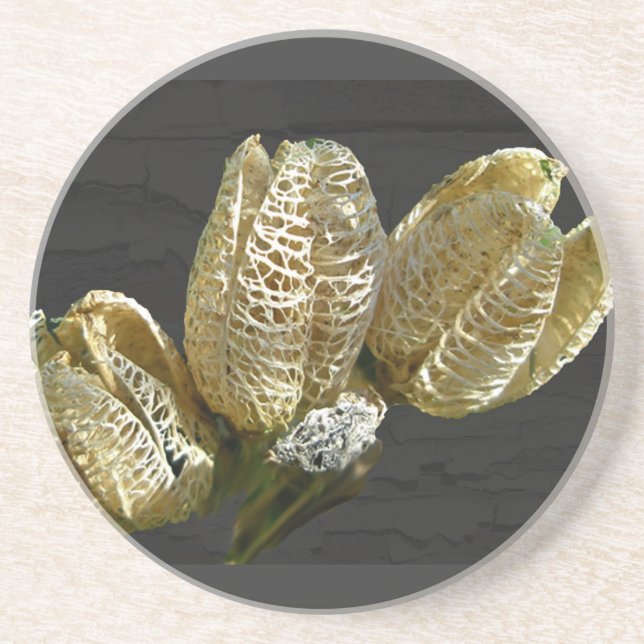 Empty Lily Seed Pods Coordinating Items Coaster (Front)