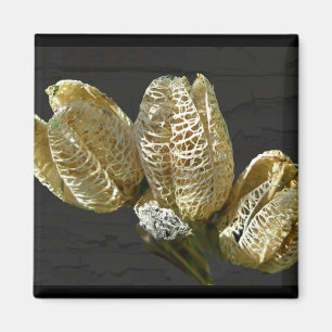 Empty Lily Seed Pods Coordinating Items Magnet