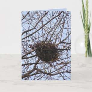 Empty Nest Card