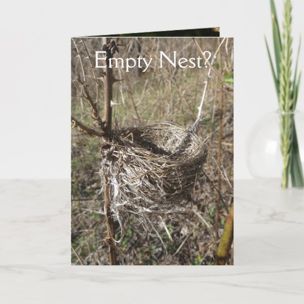 Empty Nest Gifts on Zazzle AU