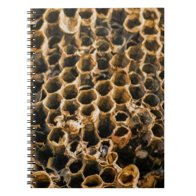 Empty Nest Notebook (Front)