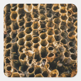 Empty Nest Square Sticker