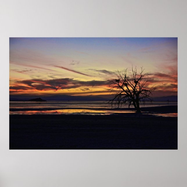 Empty Nests in a Dead Tree Poster (Front)