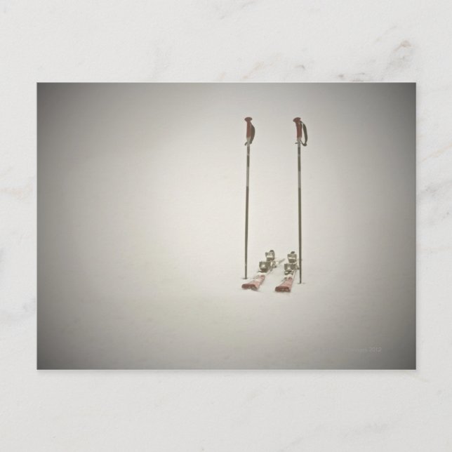 Empty Skis and Poles Postcard (Front)