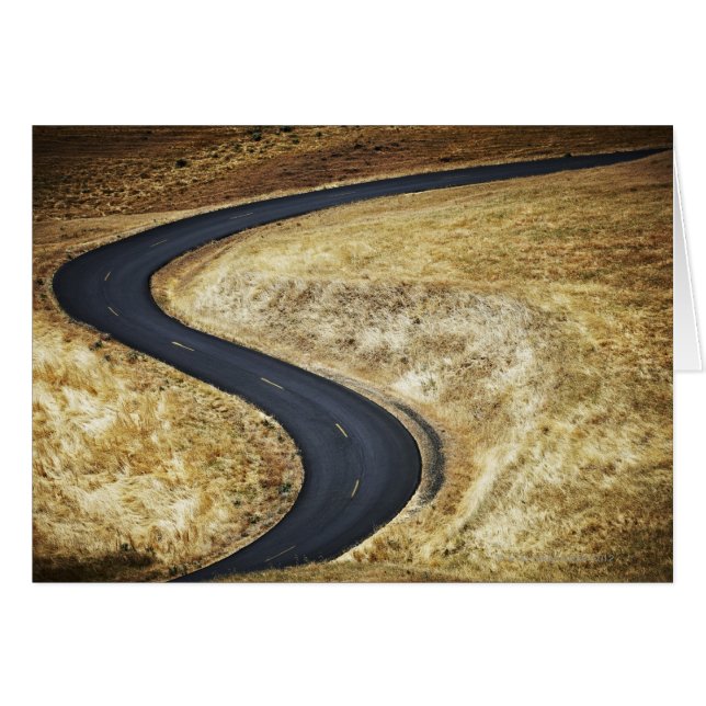 Empty winding paved road (Front Horizontal)