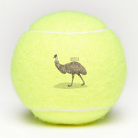 Emu bird cartoon illustration 