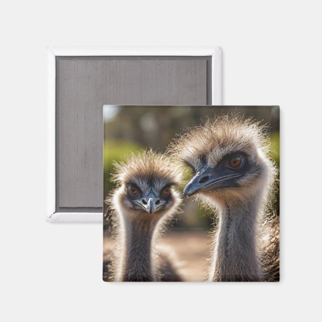 Emu Birds Magnet (Front/Back)
