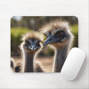 Emu Birds Mouse Pad