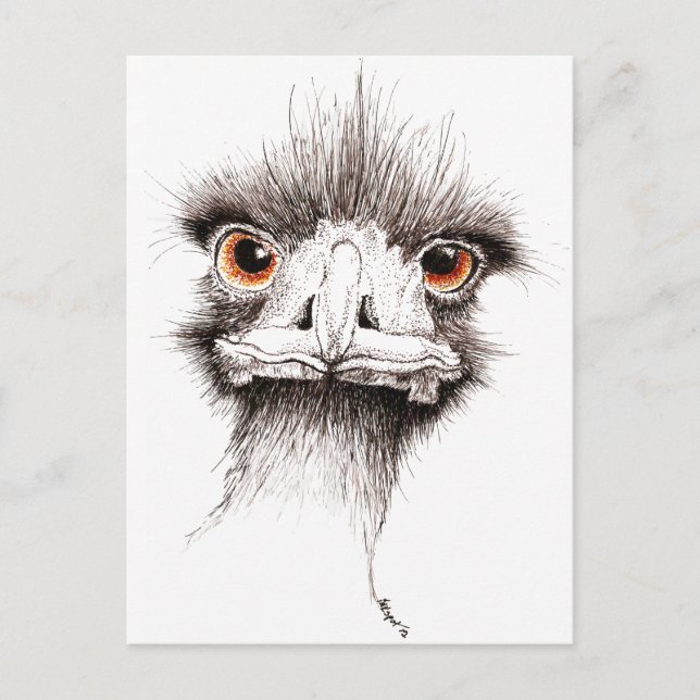 Emu by Inkspot Postcard (Front)