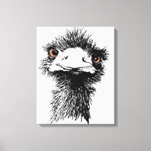 Emu Canvas Print