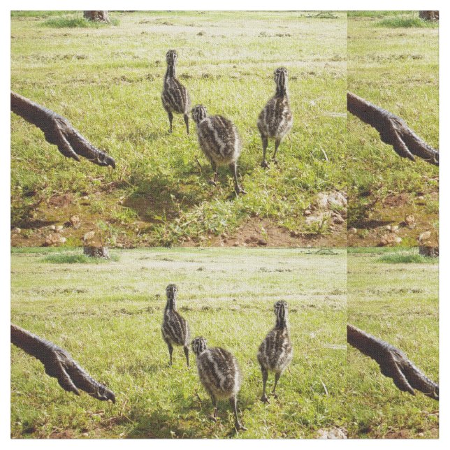 Emu Chicks With Emu Big Foot, Fabric (Close Up)