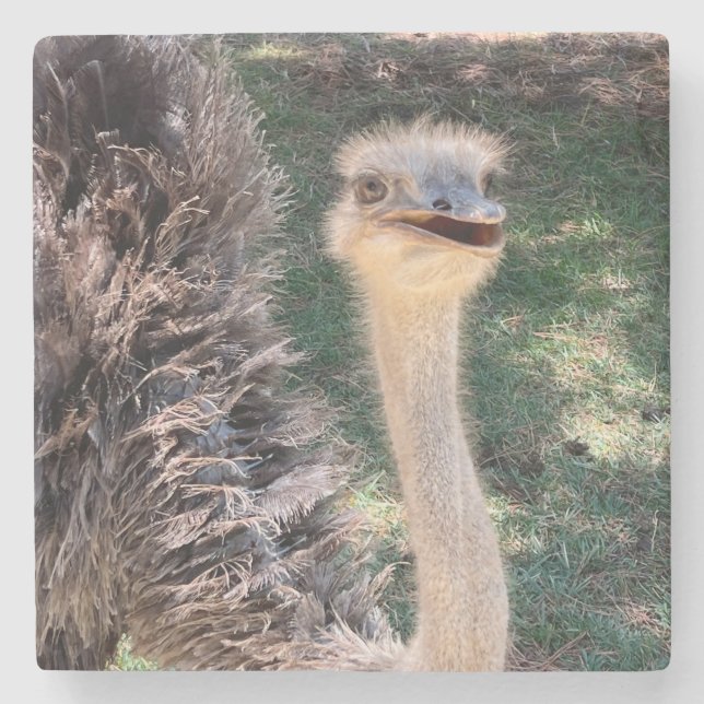 Emu coaster (Front)