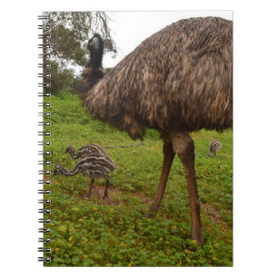 Emu Daddy With Chicks, Notebook