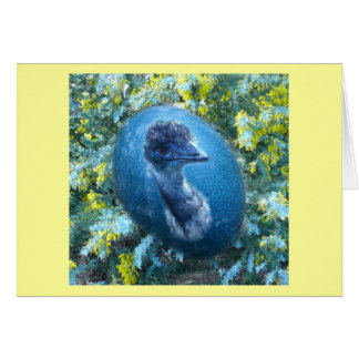 Emu Egg, Wildlife