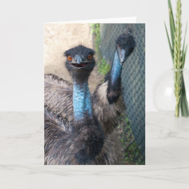 Emu Greeting Card (Front)