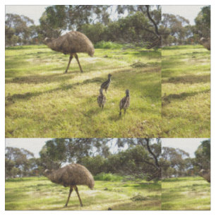 Emu Neighbourhood Watch, Fabric