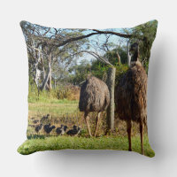 Emu Parents Taking Chicks For Walk,