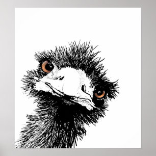 Emu – Pen and Ink Poster