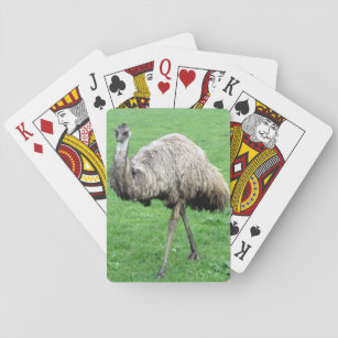 emu playing cards