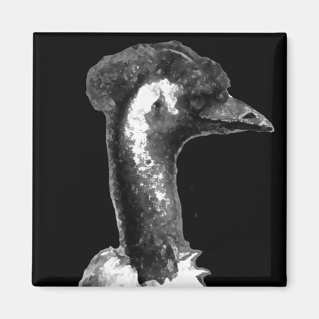 Emu Profile Magnet (Front)