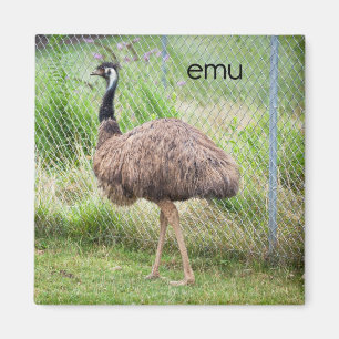 Emu Refrigerator Magnet