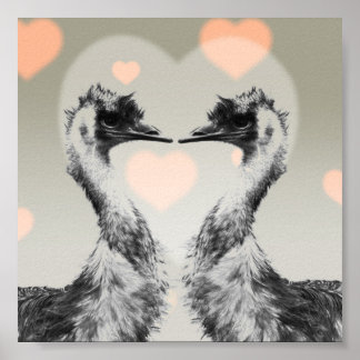 Emus in love poster