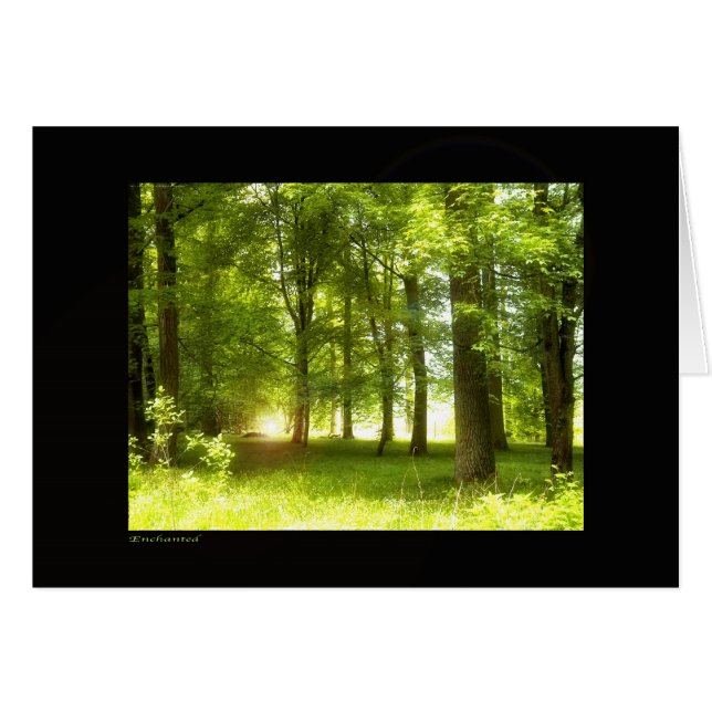 Enchanted (Front Horizontal)