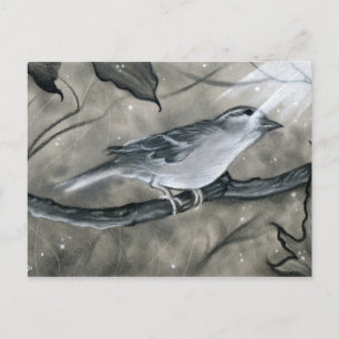 Enchanted Bird Tree Light Postcard