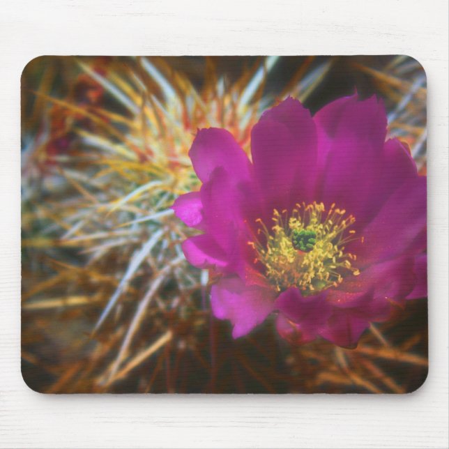 Enchanted Bloom Mouse Pad (Front)
