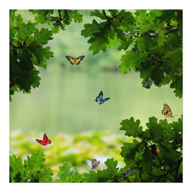 Enchanted Butterfly Forest Photo Print (Front)