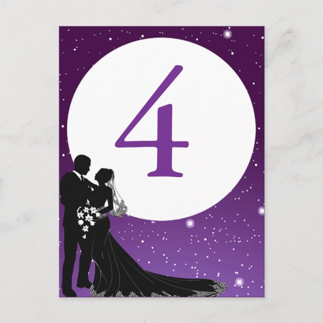 Enchanted Evening Nighttime Wedding Table Card (Front)