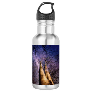 Enchanted Forest 532 Ml Water Bottle