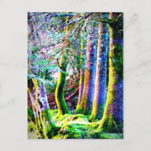 Enchanted Forest Abstract Art Postcard