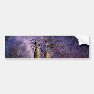 Enchanted Forest Bumper Sticker