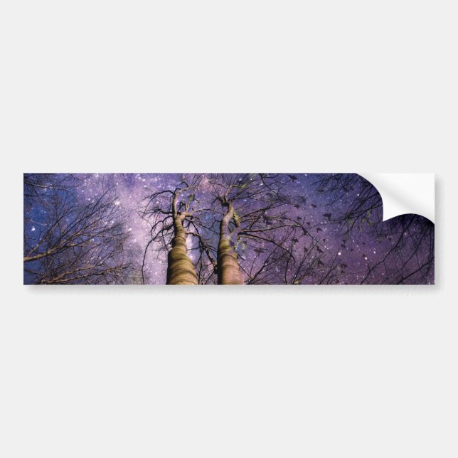 Enchanted Forest Bumper Sticker (Front)