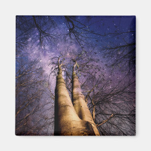 Enchanted Forest Magnet