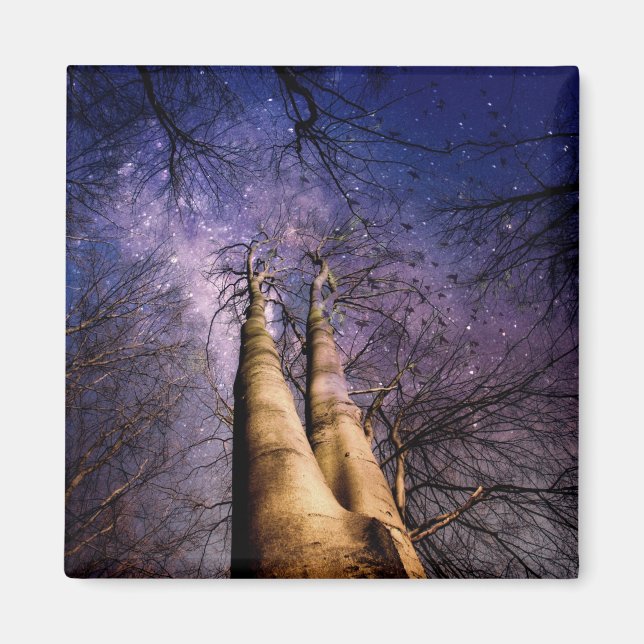 Enchanted Forest Magnet (Front)