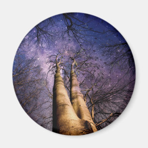 Enchanted Forest Magnet
